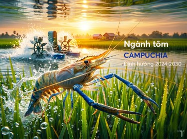 Ngành tôm Campuchia (2024 - 2030): Thực trạng sản xuất, chi phí và định hướng phát triển