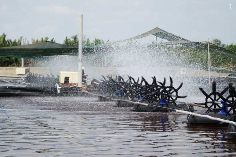 Cùng nâng kiềm nhưng hiệu quả có thật sự giống nhau?