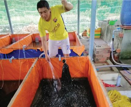 An tâm với nuôi lươn lót bạt