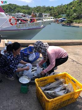 Gần 35 tấn cá lồng bè ở Kiên Giang chết chưa rõ nguyên nhân