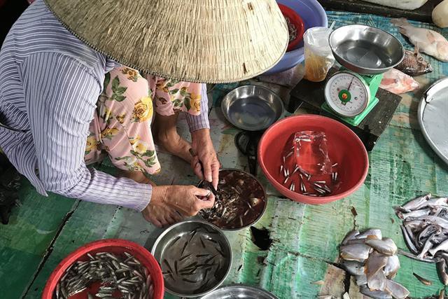 Cá linh đầu mùa giá 300.000 đồng một kg