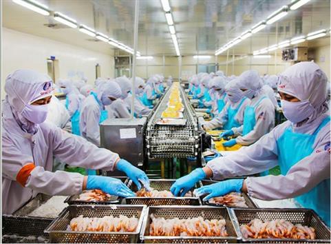 Cà Mau nâng cao sức cạnh tranh các mặt hàng thủy sản xuất khẩu