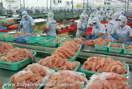 Cá tra chịu mức thuế chống bán phá giá là 2,39 USD/kg