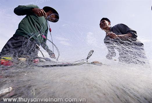 Cải thiện chất lượng lao động nông nghiệp