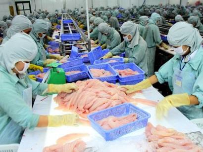Dự báo xuất khẩu cá tra sang Brazil sẽ tăng trưởng cuối năm