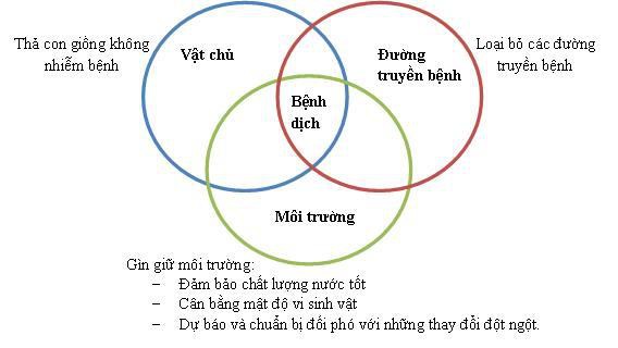 Công dụng của men vi sinh trong nuôi trồng thủy sản