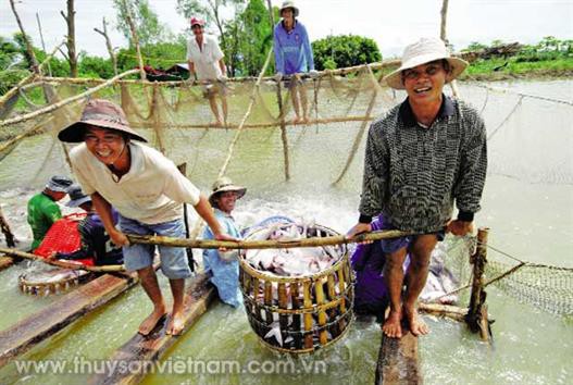 Công nghệ mới hỗ trợ nuôi cá tra