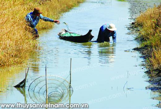 Cùng hành động ứng phó biến đổi khí hậu