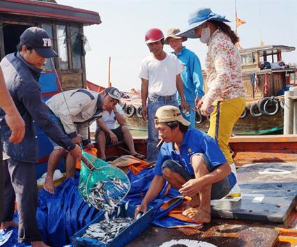 Đà Nẵng tăng cường truy xuất nguồn gốc thủy, hải sản
