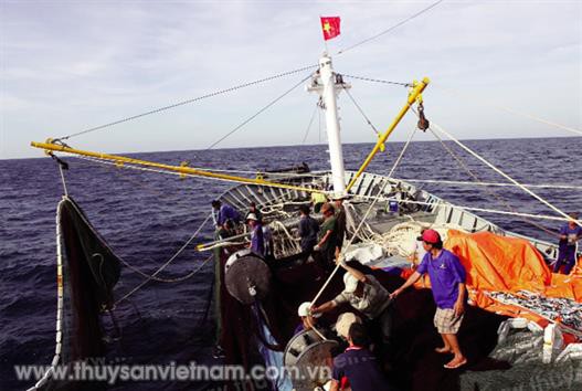 Trà Vinh: Đảm bảo an toàn cho ngư dân trong mùa mưa bão