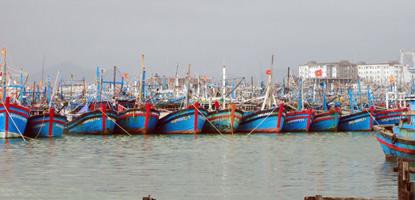 Hợp tác đánh cá ở nước ngoài: Tiềm năng và khó khăn