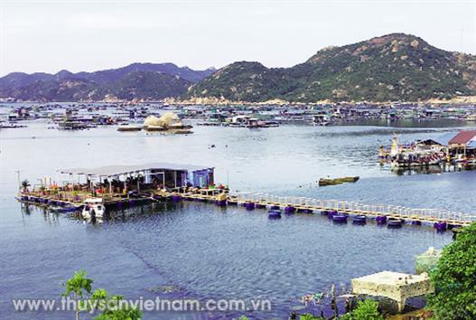 Đến Bình Ba gặp tỷ phú tôm