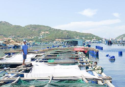 Đồng hành với nông dân