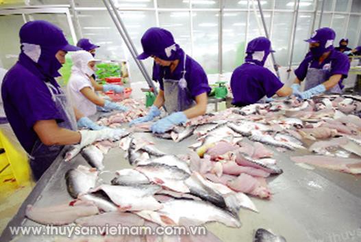 Đưa ngành cá tra tăng trưởng đạt 2 tỷ USD