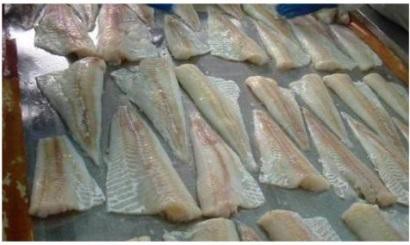  EU giảm NK thủy sản