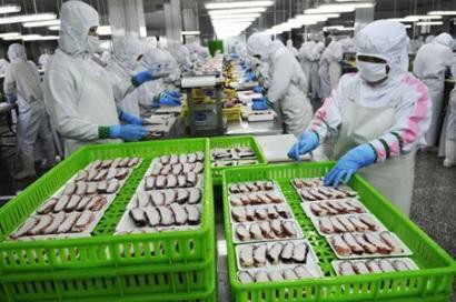 Trung Quốc hướng xuất khẩu thủy sản sang các thị trường mới