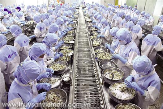 Tôm Việt: Giấc mơ số 1 thế giới
