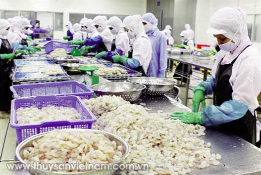 Giải pháp khắc phục sản phẩm thủy sản bị cảnh báo, trả về