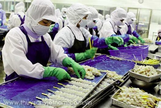 Giấy chứng nhận và “sức khỏe” doanh nghiệp