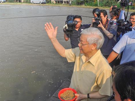 An Giang: Hiệu quả kinh tế cao từ mô hình nuôi cá tra xuất khẩu