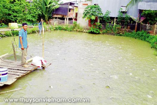 Đồng Tháp: Hiệu quả nuôi thủy sản ở Tam Nông