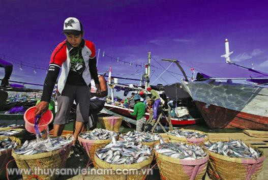 Thắt chặt quản lý trong cuộc chiến chống IUU