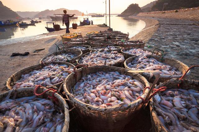 Hiện trạng và xu hướng thị trường của ngành thủy sản
