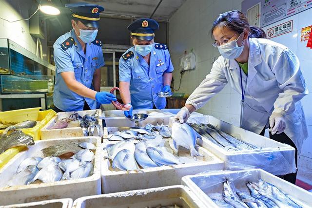Cá sấu gần cả tạ "ngoi lên lặn xuống" giữa lòng hồ ở Vũng Tàu chưa bị bắt