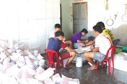 Lão nông với tâm huyết nuôi tôm