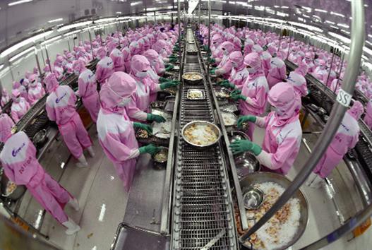 Liên kết chuỗi để ngành tôm phát triển bền vững