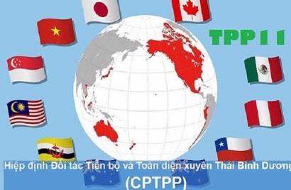 Mặt hàng thủy sản đứng trước cơ hội thúc đẩy xuất khẩu khi CPTPP được ký kết