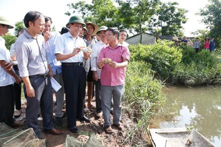 Nghiệm thu mô hình nuôi cua biển thâm canh tại huyện Kim Sơn