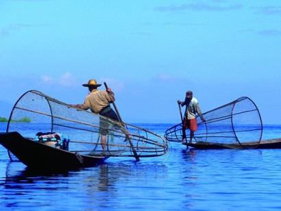 Nghệ An: Điểm nhấn mô hình thủy sản nước ngọt