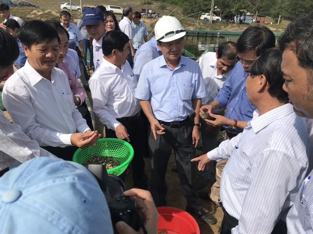 Quảng Ngãi: Nuôi ghép ốc hương và hải sâm trên đất cát ven biển