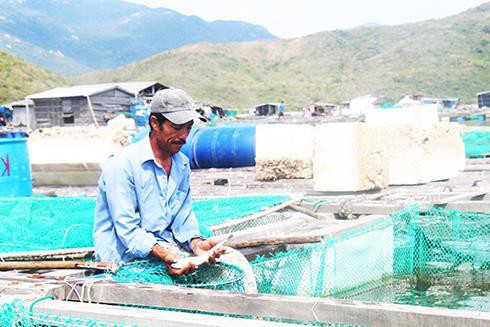 Nghề nuôi trồng thủy sản: Phải thay đổi để phát triển bền vững