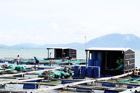Nha Trang: Quy hoạch vùng nuôi trồng thủy sản