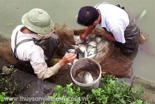 Quảng Bình: Nhân rộng mô hình hiệu quả