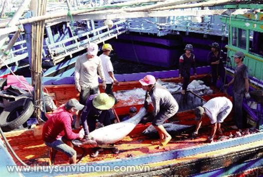 Tích cực hỗ trợ ngư dân