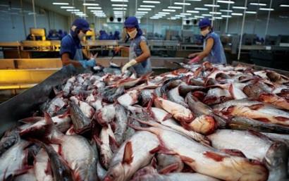 Nhu cầu xuất khẩu đẩy giá tôm và cá tra trong nước tăng cao vào cuối năm
