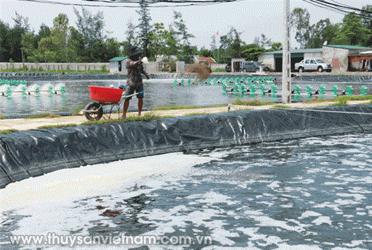 Những mô hình khuyến nông hiệu quả