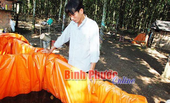 Nuôi lươn trong can nhựa kiếm bộn tiền