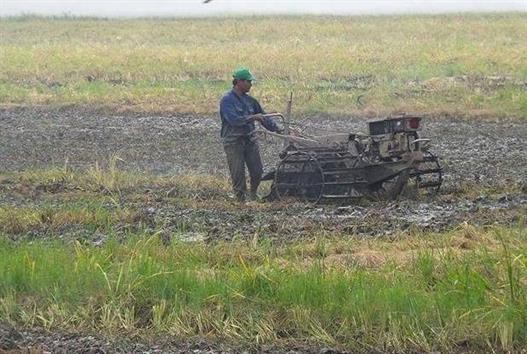Nuôi tôm chờ nước mặn