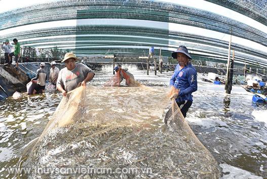 Tái cơ cấu thủy sản: Tất yếu dựa vào khoa học công nghệ