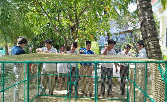 Phú Yên: Nuôi tôm hùm bằng vật liệu mới