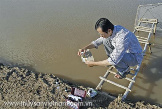 Quản lý pH trong ao nuôi