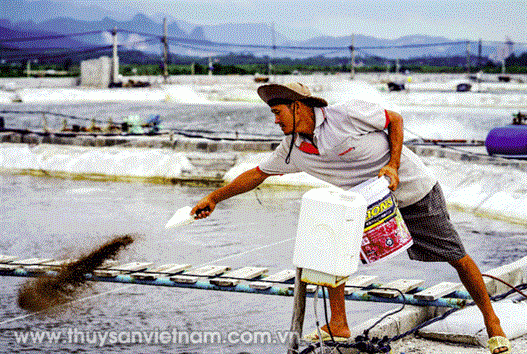 Quản lý cho ăn một cách khoa học