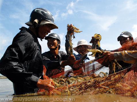 Tổng sản lượng thủy sản trong tháng 7 ước đạt 731,1 nghìn tấn