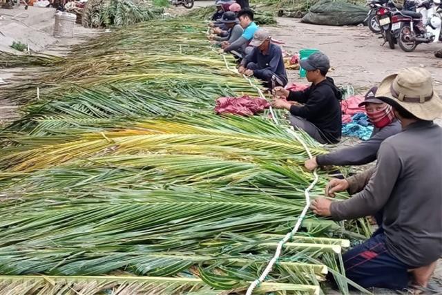 Ngư dân Bình thuận làm “nhà” cho cá