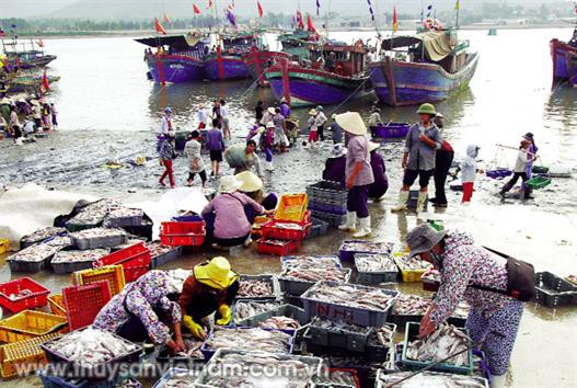 Cần thống nhất trong quản lý hệ thống cảng cá