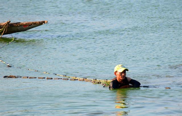 Thu hoạch cá nuôi trên cánh đồng Thanh Lam